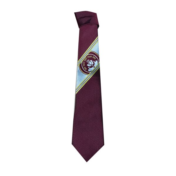 Taylor High Senior Tie Thumbnail