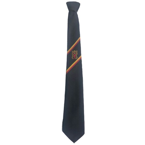 Braidhurst High Senior Tie Thumbnail