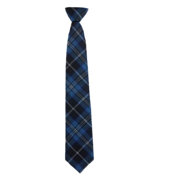 Dalziel High Senior Tie Thumbnail