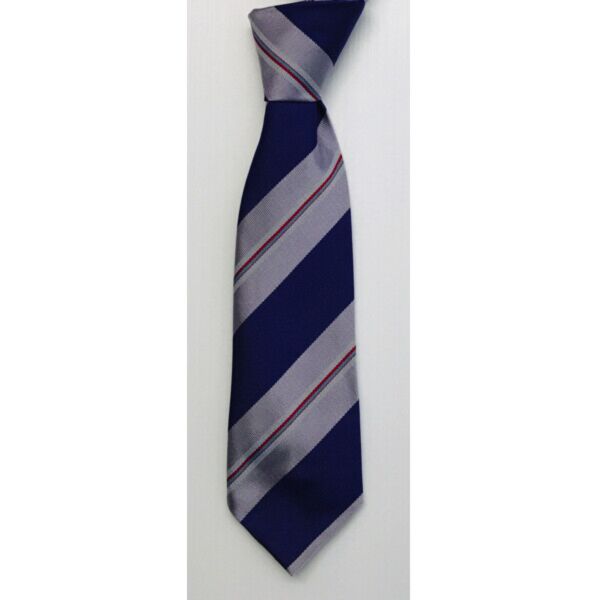 Our Ladys High (Motherwell) Tie Thumbnail
