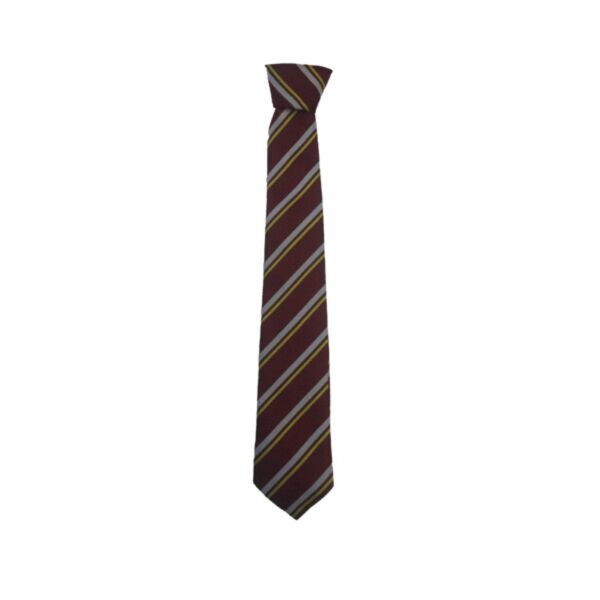 Taylor High Junior Tie Thumbnail