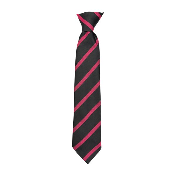 Cleland Primary Clip-On Tie Thumbnail