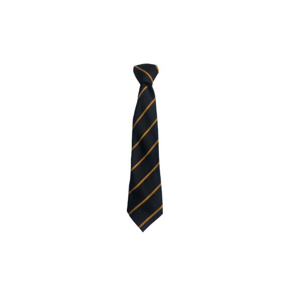 Ladywell Primary Clip-On Tie Thumbnail
