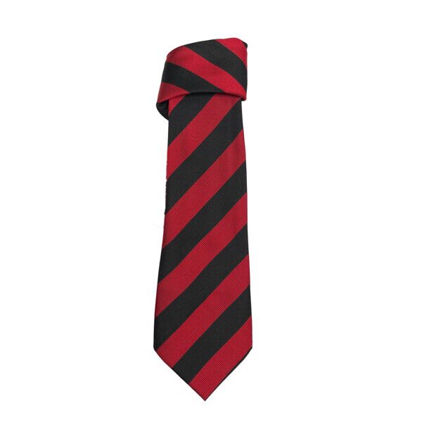 Newarthill Primary Tie (Full Length Wide Stipe 39") Thumbnail