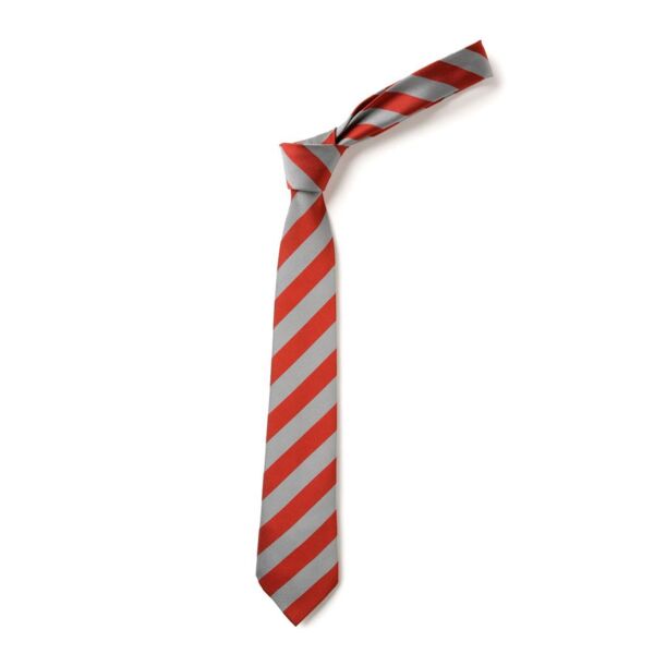 St Blanes Primary Tie (BS69 39") Thumbnail