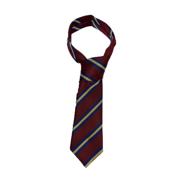 St Brigids Primary Tie Thumbnail