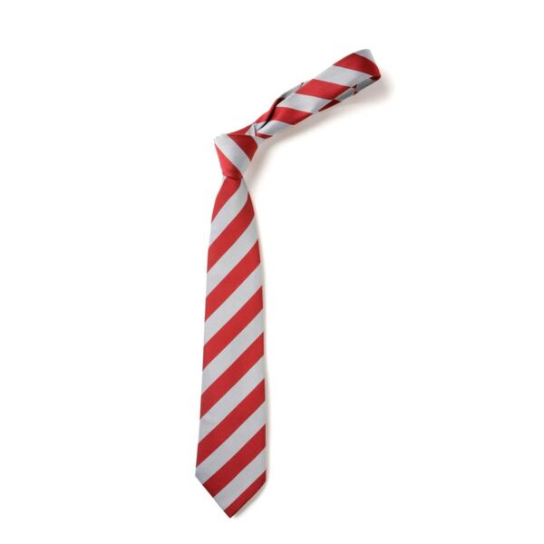 Stepps Primary Clip-On Tie (BS67 14") Thumbnail