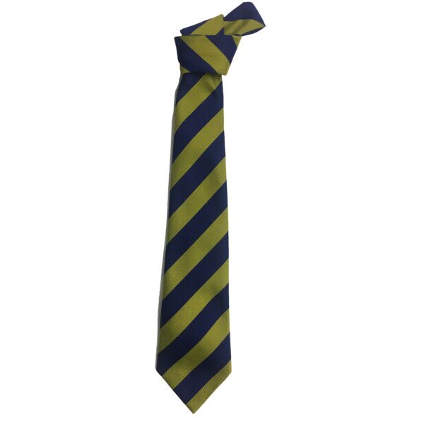 St Marys Primary Cleland Tie  Thumbnail