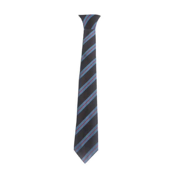 St Teresas Primary Clip-On Tie Thumbnail