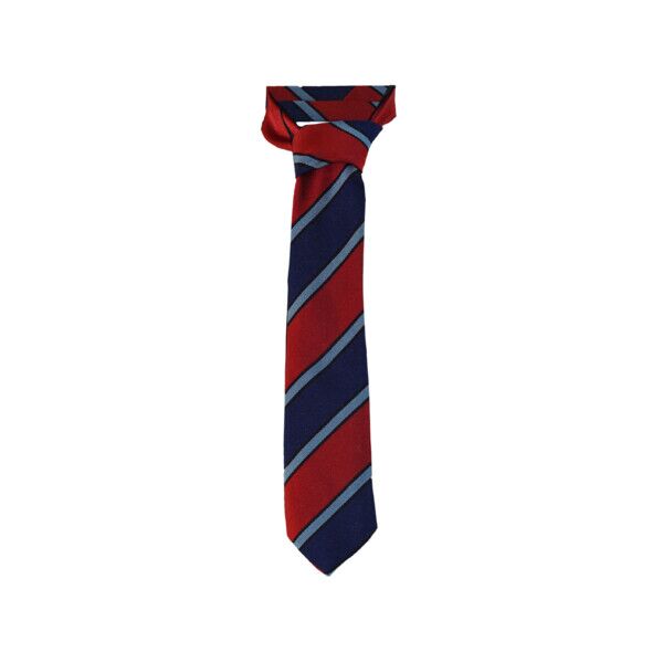 Tannochside Primary Clip-On Tie Thumbnail
