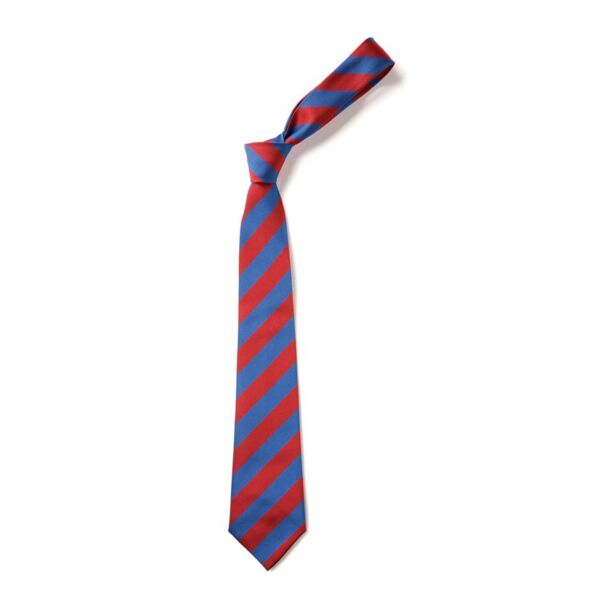 Allanton Primary Tie (Wide Stripe Full Length 39") Thumbnail