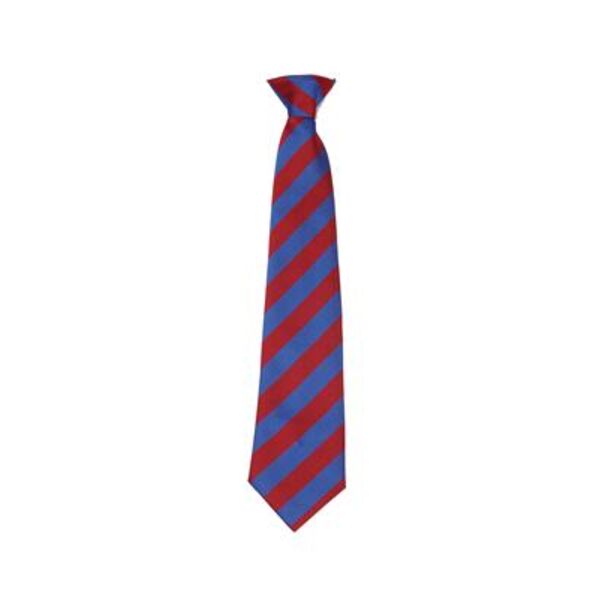 Allanton Primary Clip-On Tie (Wide Stripe with Clip 14") Thumbnail