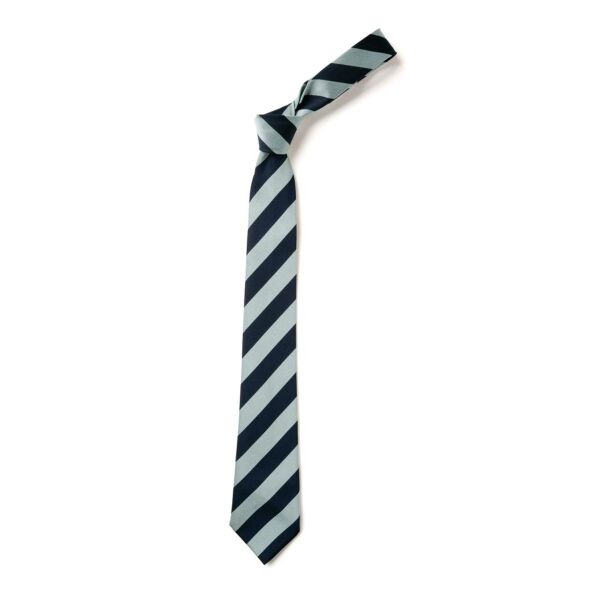 Chatelherault Primary Clip-On Tie (BS66 14") Thumbnail