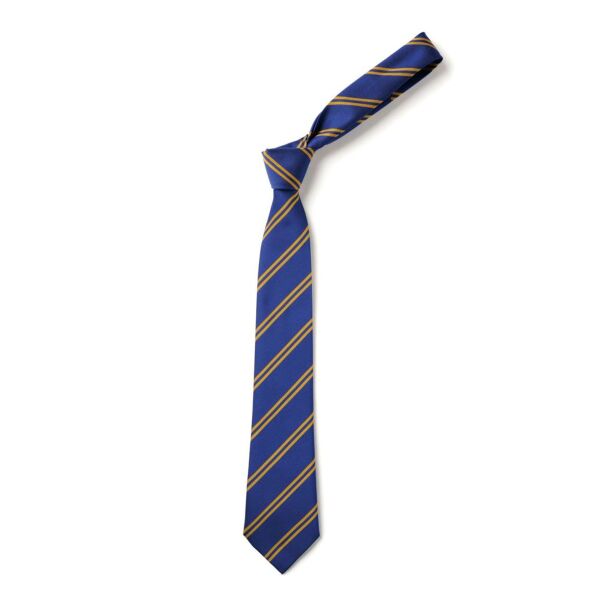 Carluke Primary Tie (Twin Stripe 39") Thumbnail