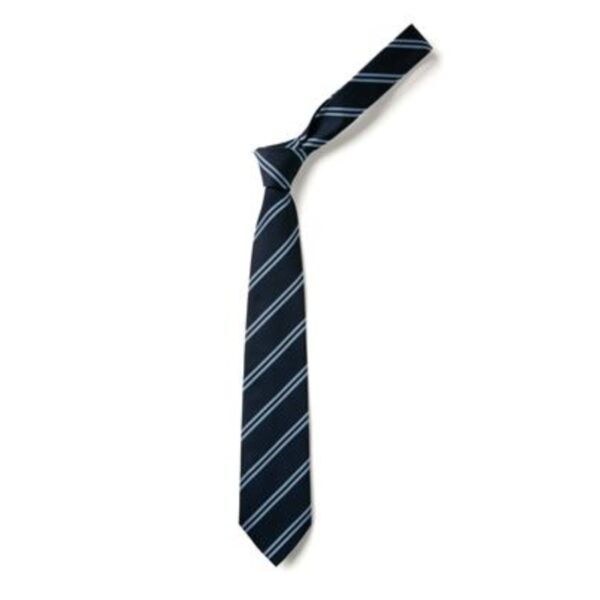 Hallside Primary Tie (Twin Stripe 39") Thumbnail
