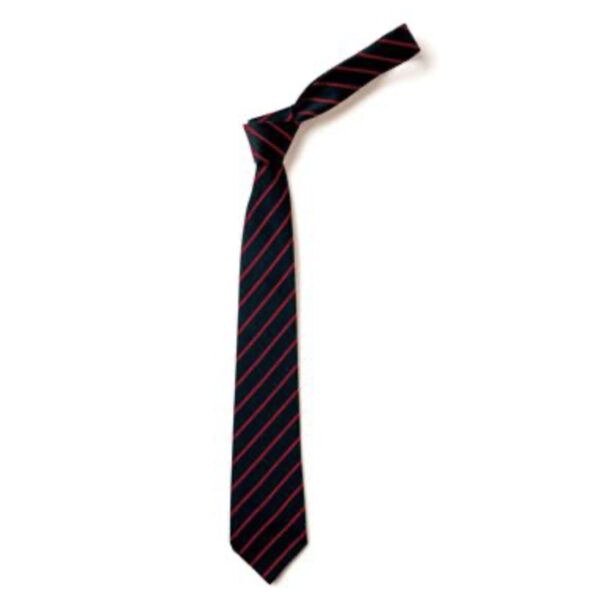St John the Baptist Primary Tie (Thin Stripe Full Length 45") Thumbnail
