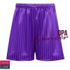 David Luke Shadow Stripe Shorts (Purple) Thumbnail